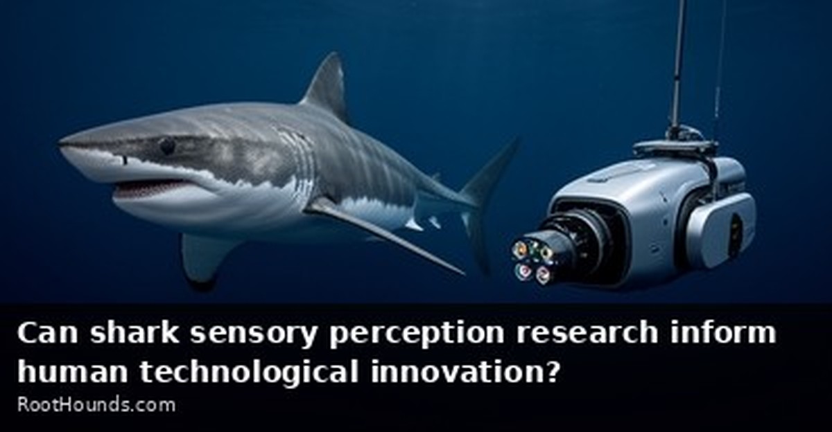 Can shark sensory perception research inform human technological innovation?